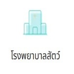 STORE